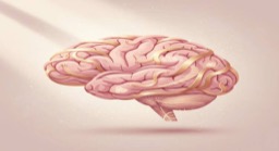 Zodiaco Onirico: Che Trip Ti Manda il Subconscio?!
